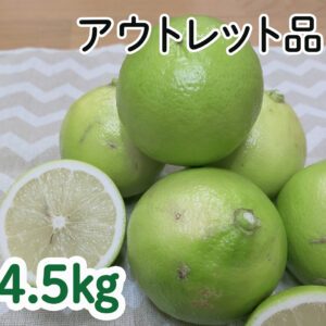 温室栽培ベルガモット　アウトレット品 4.5kg （2－3月出荷）